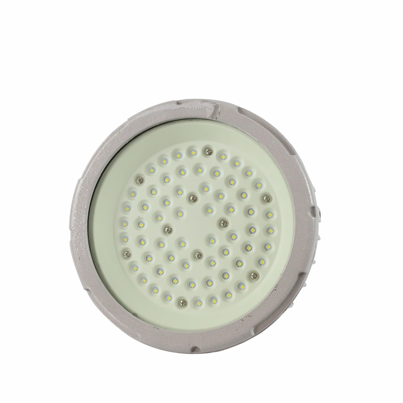 EKS101-免維護(hù)LED防爆燈
